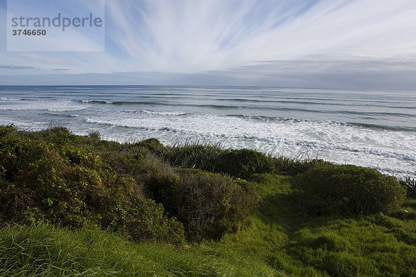 Grün bewachsener Strand an der Westküste  Karamea  Südinsel  Neuseeland