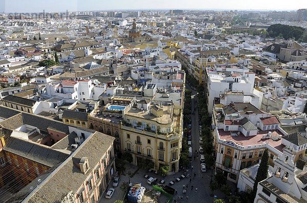 View of Seville  Andalusia  Spain  Europe