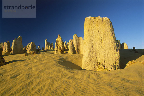 Pinnacle Desert  Nambung Nationalpark  Westaustralien  Australien