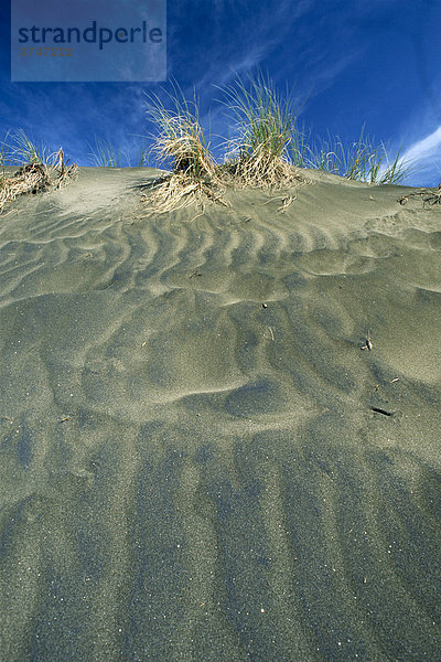 Schwarzer Lavasand am Strand der Golden Bay  Nordinsel  Neuseeland