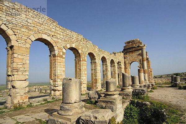 Die Basilika in der ruinenhaften römischen Stadt Volubilis  Marokko  Afrika