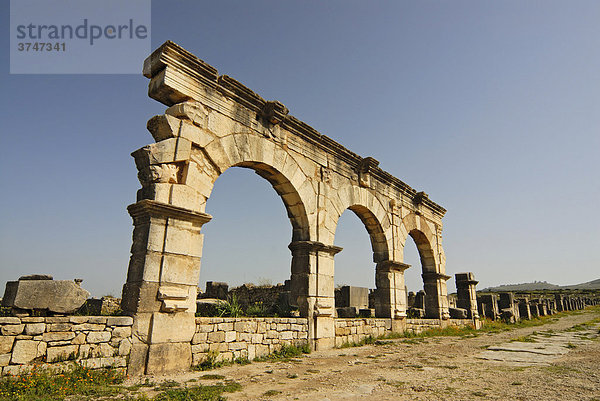 Der Gordian-Palast in der ruinenhaften römischen Stadt Volubilis  Marokko  Afrika
