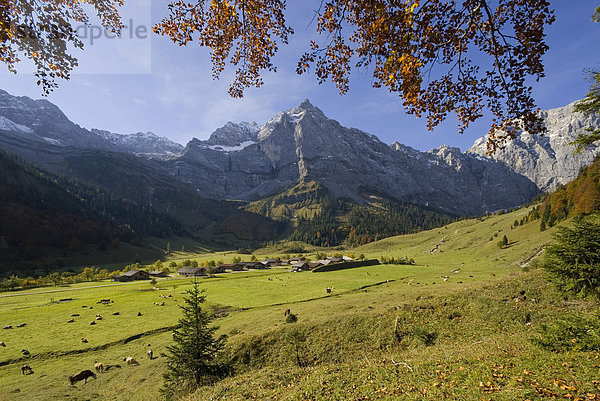 Eng-Alm  dahinter Spritzkarspitze  Karwendel-Gebirge  Tirol  Österreich  Europa