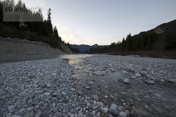 Flussbett mit Steinen  Obere Isar  Bayern  Deutschland  Europa