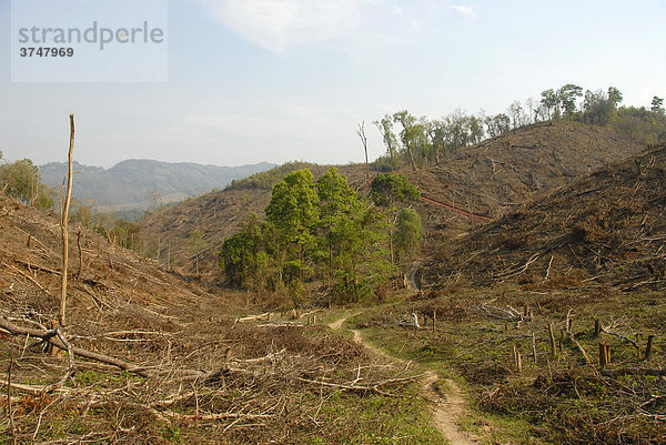 Umweltzerstörung  Kahlschlag am Wald im Bergland  Xieng Khuang Provinz  Laos  Südostasien