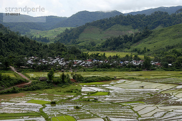 Blick über Reisfelder auf Dorf Ban Naway der Tai Leu Ethnie und Berglandschaft  Phongsali Provinz  Laos  Südostasien
