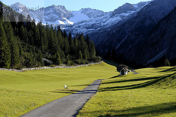 Bergwiese mit Weg und verschneiten Alpengipfeln  Gramais  Lechtal  Reutte  Tirol  Österreich  Europa