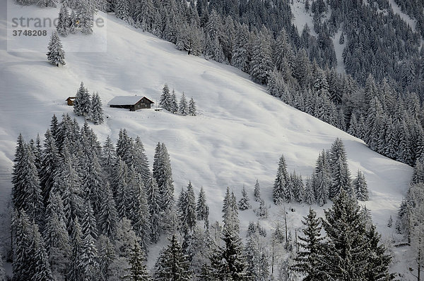 Verschneite Berghütte im Winterwald  Balderschwang  Oberallgäu  Bayern  Deutschland  Europa