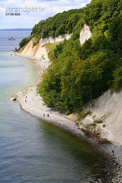 Am steinigen Strand mit den berühmten Kreidefelsen und dem Buchenwald  Nationalpark Jasmund  Insel Rügen  Mecklenburg-Vorpommern  Deutschland  Europa