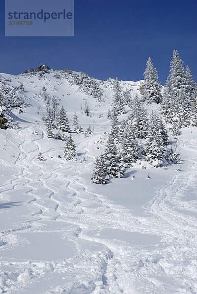 Ski Abfahrtsspuren in winterlicher Berglandschaft Wendelsteingebirge  Bayern  Deutschland