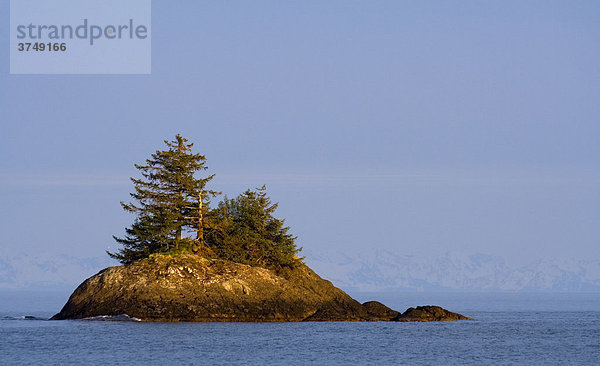 Felseninsel mit Bäumen im Abendlicht  Pazifik Küste  Chugach National Forest  Prince William Sound  Alaska  USA