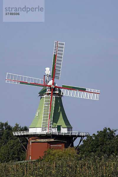 Alte historische Windmühle Venti Amica  dreistöckiger Galerieholländer  Twielenfleth  Altes Land  Niedersachsen  Deutschland  Europa