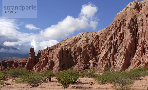 Rote Sandsteinformation  Quebrada del RÌo Las Conchas  Cafayate  Provinz Salta  Anden  Argentinien  Südamerika