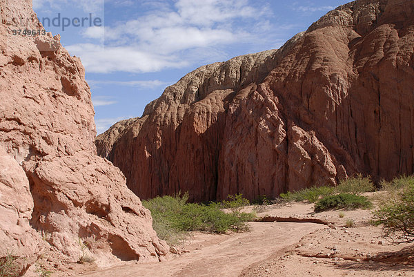 Rote Sandsteinformation  Quebrada del RÌo Las Conchas  Cafayate  Provinz Salta  Anden  Argentinien  Südamerika