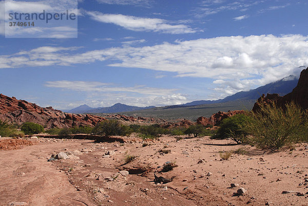 Panoramablick  rote Sandsteinformation  Quebrada del RÌo Las Conchas  Cafayate  Provinz Salta  Anden  Argentinien  Südamerika