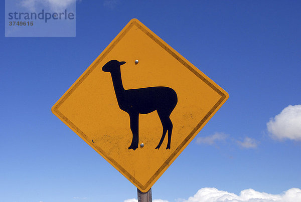 Lama-Warnschild vor blauem Himmel in den Hochanden  Provinz Salta  Anden  Argentinien  Südamerika