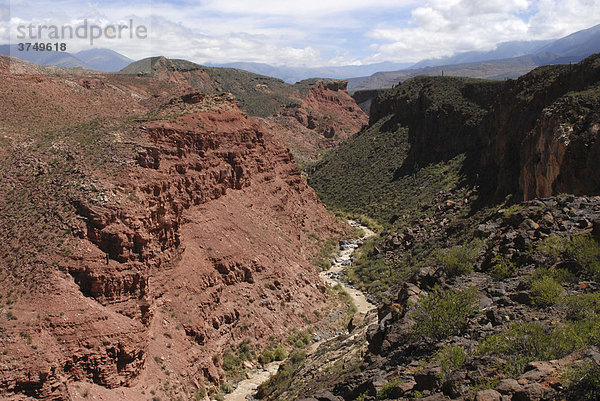 Blick in die Schlucht des Rio Calchaqui  Puente del Diabolo  La Poma  Provinz Salta  Anden  Argentinien  Südamerika
