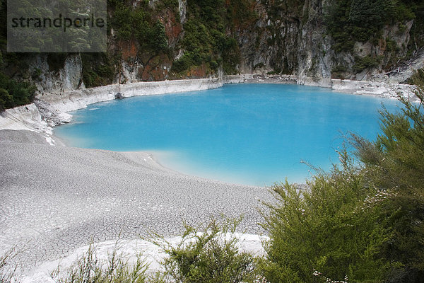 Inferno Crater Lake  Waimangu Valley  Nordinsel  Neuseeland