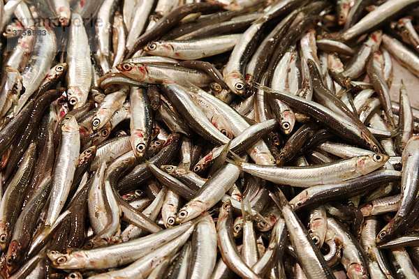 Fischmarkt  Mallorca  Balearen  Spanien