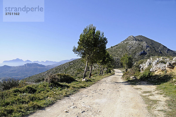 Höhenzug  Coll de Rates  Tarbena  Alicante  Costa Blanca  Spanien