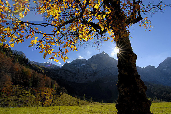 Herbststimmung am Ahornboden  Tirol  Österreich