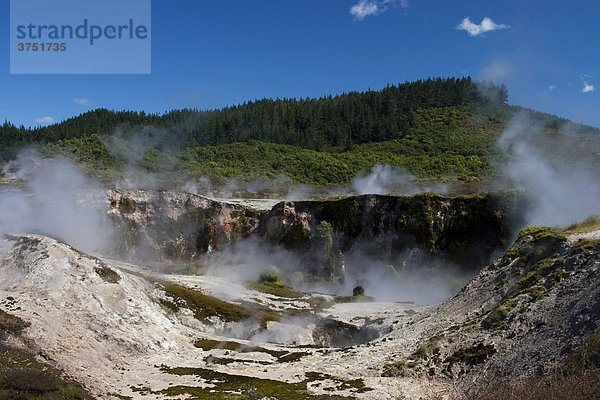 Craters of the Moon Thermalgebiet Neuseeland  Nordinsel  Neuseeland