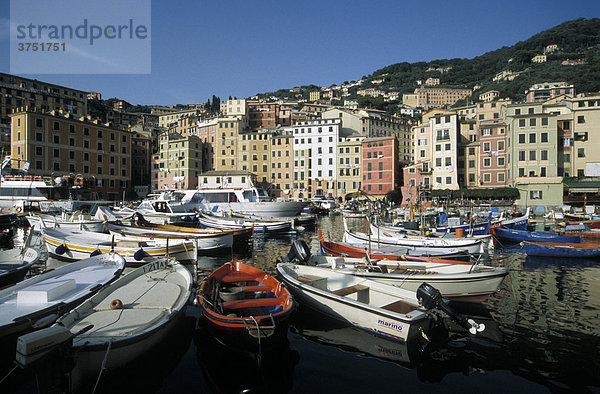 Hafen und Altstadt  Camogli  Ligurien  Riviera  Italien