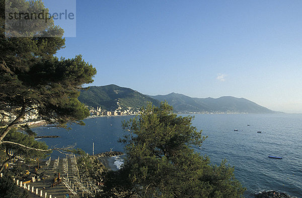 Blick auf Küste mit Alassio  Ligurien  Riviera  Italien