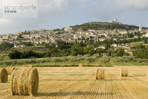 Blick auf Assisi  Feld im Vordergrund  Umbrien  Italien