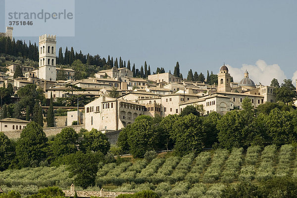 Blick auf Assisi  Umbrien  Italien