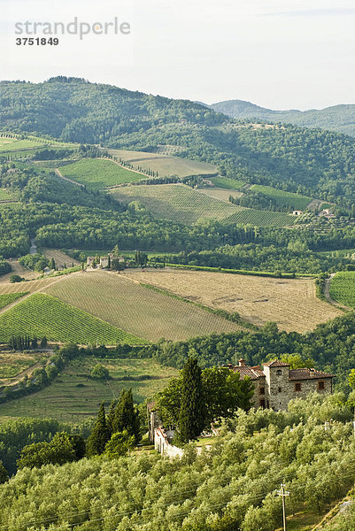 Landschaft mit Weinbergen  Gutshof und Wälder bei Radda in Chianti  Chianti  Toskana  Italien