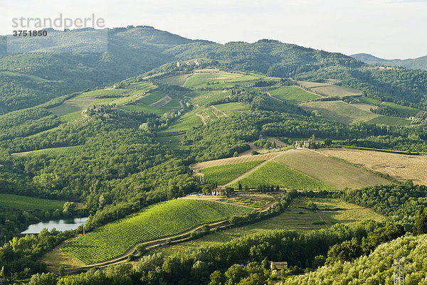 Landschaft mit Weinbergen  Gutshof und Wälder bei Radda in Chianti  Chianti  Toskana  Italien