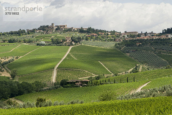 Typische Landschaft mit Weinbergen  Panzano  Chianti  Toskana  Italien