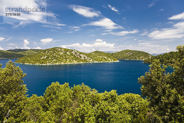 Inselgruppe im Nationalpark Mljet  Insel Mljet  Dubrovnik-Neretva  Dalmatien  Kroatien  Europa