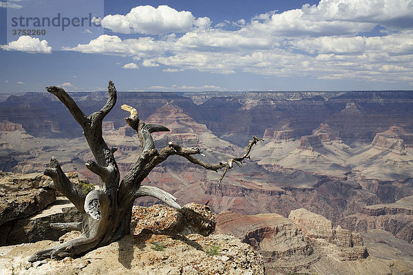 Yaki Point  Grand Canyon National Park  Arizona  USA