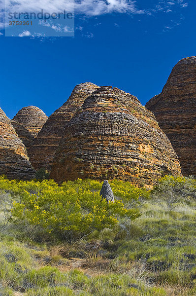 Bungle Bungle  bienenkorbartige Sandsteinhügel  Purnululu Nationalpark  Westaustralien  Australien