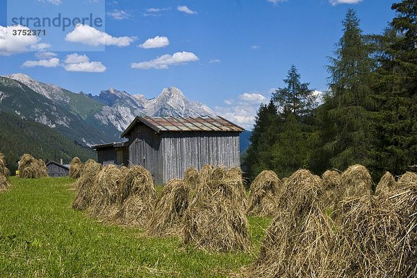 Heumanderl und Heustadel bei Pettnau am Arlberg mit Blick auf Freispitze  Tirol  Österreich