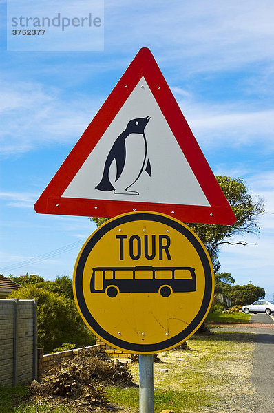 Straßenschild warnt vor Pinguinen  Südafrika