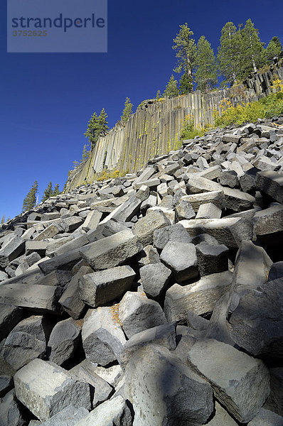 Bruchstücke von Basaltsäulen Hexaeder  Mammoth See  Devils Postpile National Monument  Kalifornien  USA  Nordamerika