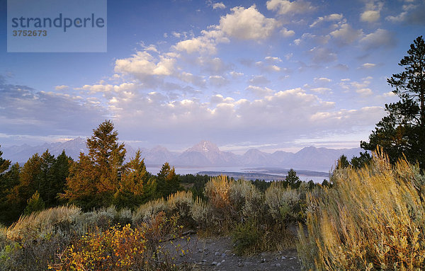 Grand Teton Nationalpark  Wyoming  USA