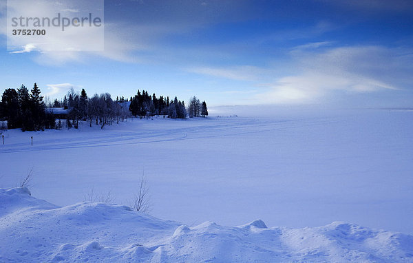 Verschneite Winterlandschaft Lappland  Finnmark  Norwegen  Skandinavien