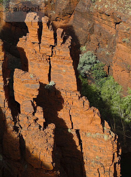 Blick vom Oxers Lookout in die Red Gorge  Karijini Nationalpark  Pilbara Region  Australien