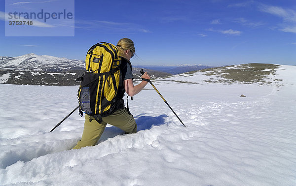 Wanderin mit gelbem Rucksack und Wanderstöcken überquert ein Schneefeld und sinkt bis zu den Knie ein  Jotunheimen  Norwegen