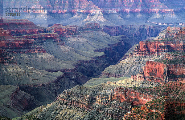 Grand Canyon  North Rim  Grand Canyon Nationalpark  Arizona  USA  Nordamerika