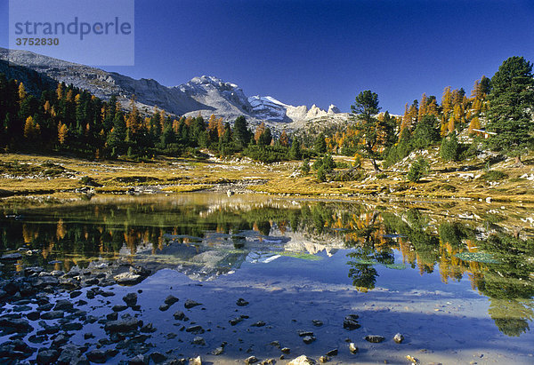 Spiegelung im Grünsee  Lac Verde  Bergsee  Herbst  Fanes Sennes Prags Naturpark  Südtirol  Italien  Europa