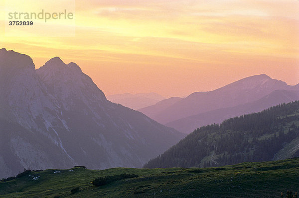 Bergpanorama und Almwiese im Karwendel  Tirol  Österreich  Europa