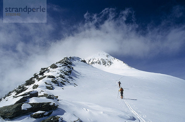 Skitourengeher am Weg zum Gipfel des Similaun  Tirol  Österreich  Europa