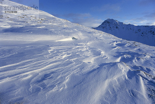 Schneefeld mit Schneeverwehungen  Sastrugi  Zastrugi  Windgangeln in den Tuxer Alpen  Tirol  Österreich  Europa