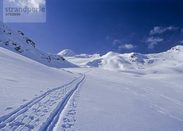 Ski-Touren-Spur in einem weiten verschneiten Hochtal am Weg zum Similaun  Ötztaler Alpen  Tirol  Österreich  Europa