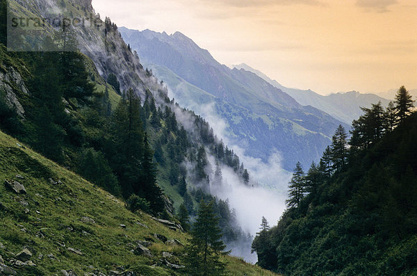 Wolkenverhangenes Tal  Stubaier Alpen  Tirol  Österreich  Europa